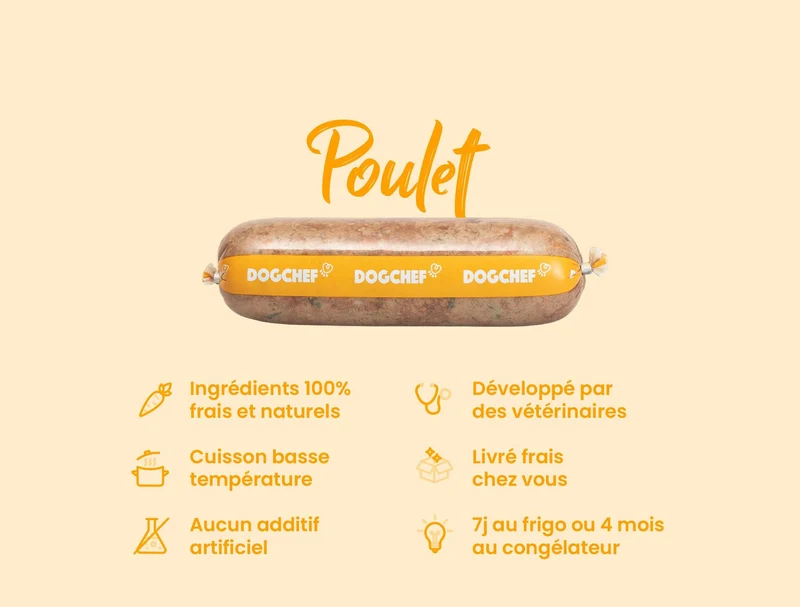 Recette Fraîche au Poulet pour Chiens sensibles - DOG CHEF