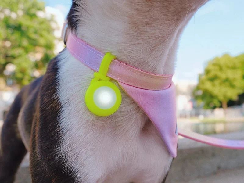 Pendentif Lumineux pour balade nocturne du chien