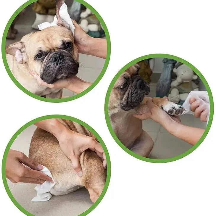 Lingettes Humides Eco PetWipes