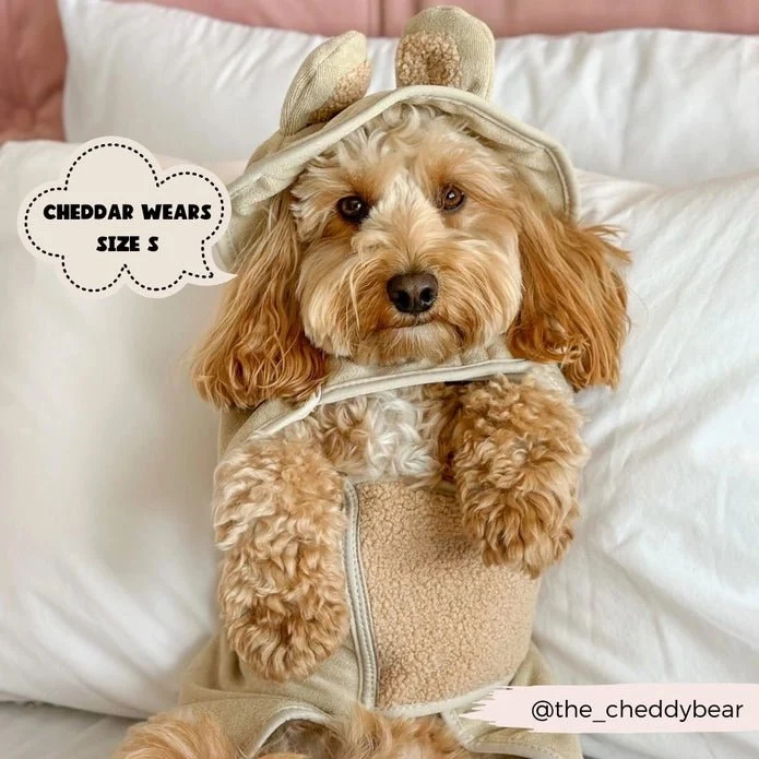 Peignoir de Séchage pour chiens Teddy