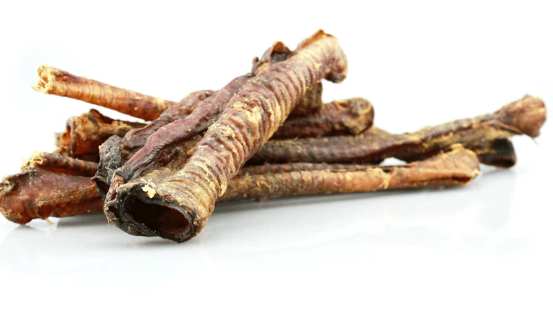 Trachées d’agneau pour chien – Friandise naturelle riche en calcium