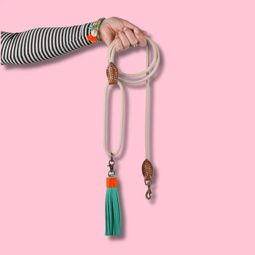 Laisse corde ajustable pour chien – Coloris sable chic & ultra pratique