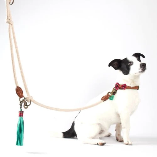 Laisse corde ajustable pour chien – Coloris sable chic & ultra pratique