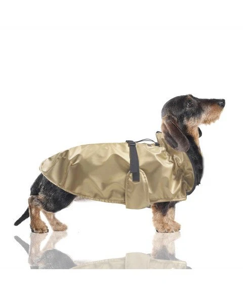 Cape imperméable Spencer dorée – Élégance waterproof pour chien