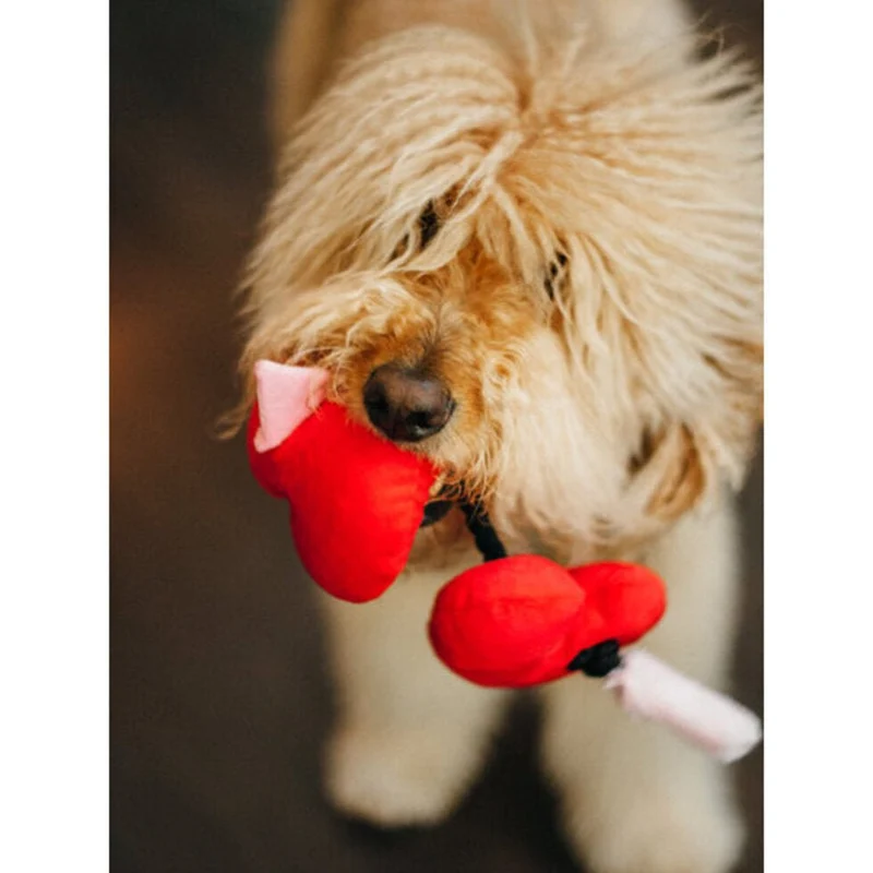 Jouet en peluche pour chien Puppy Love Cœur ❤️