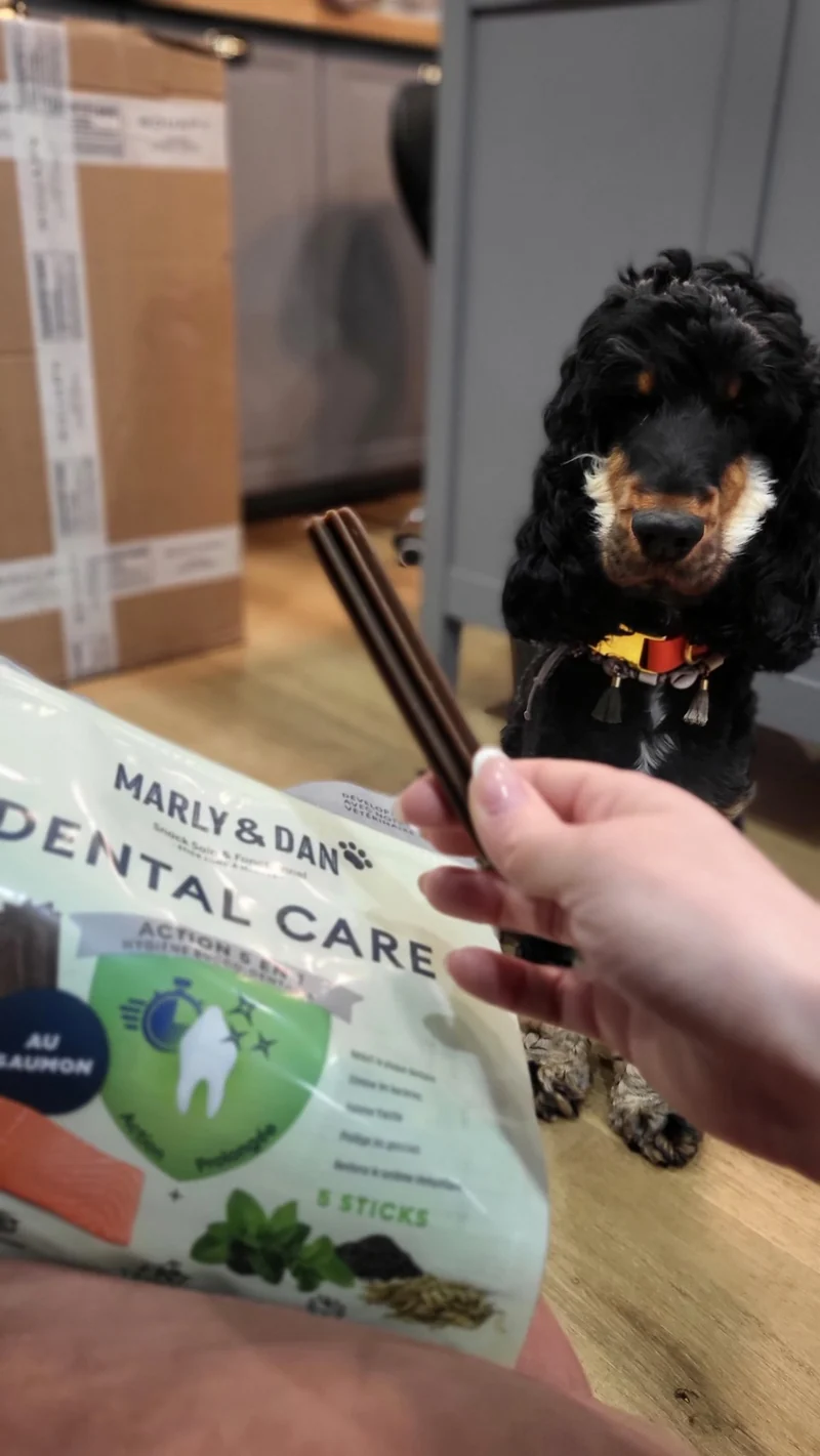 Dental Care Hygiène Bucco-Dentaire Pour chien – Marly & Dan