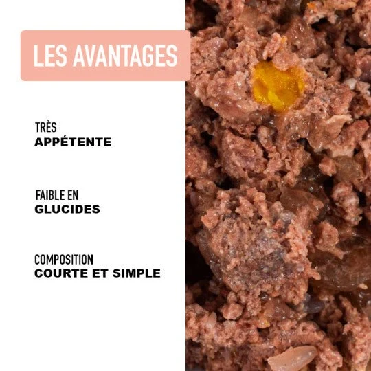Pâtée pour chien dinde et sanglier Atavik 🍖 (200g)