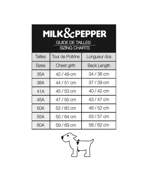 Cape imperméable Hamilton – Élégance prince de galles pour chien