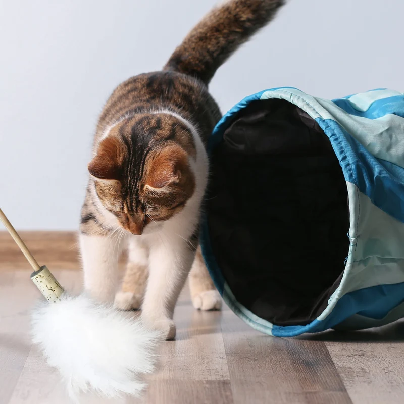 Jouet Plumeau pour Chat avec plumes naturelles