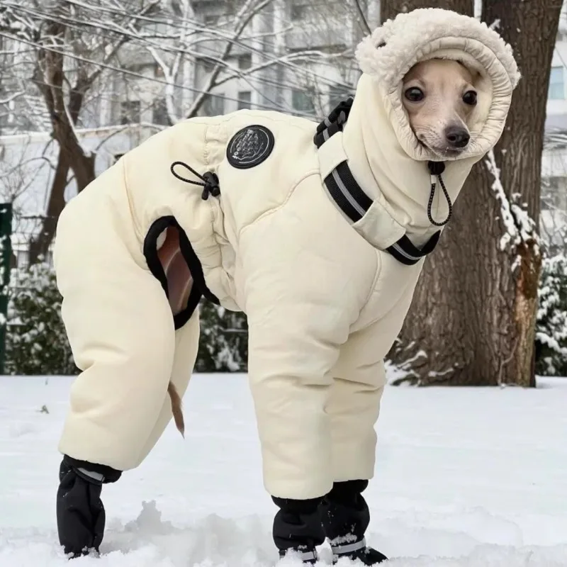 Manteau Chien Doudoune Combinaison Capuche Sherpa Lévrier