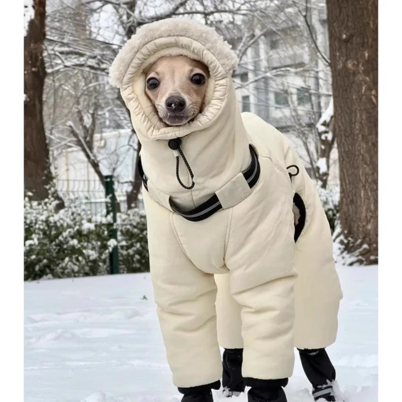 Manteau Chien Doudoune Combinaison Capuche Sherpa Lévrier
