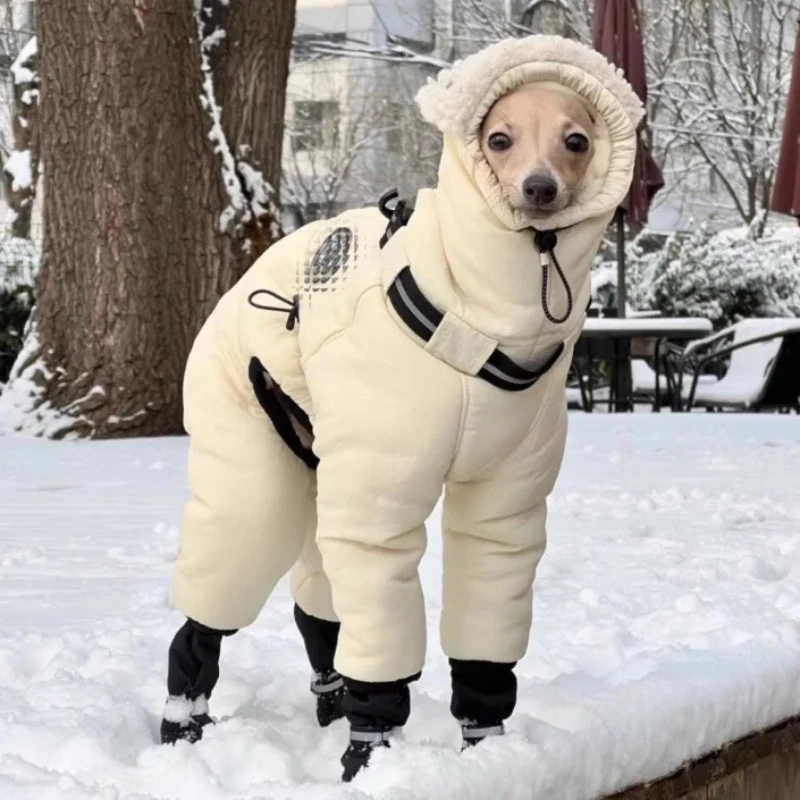 Manteau Chien Doudoune Combinaison Capuche Sherpa Lévrier