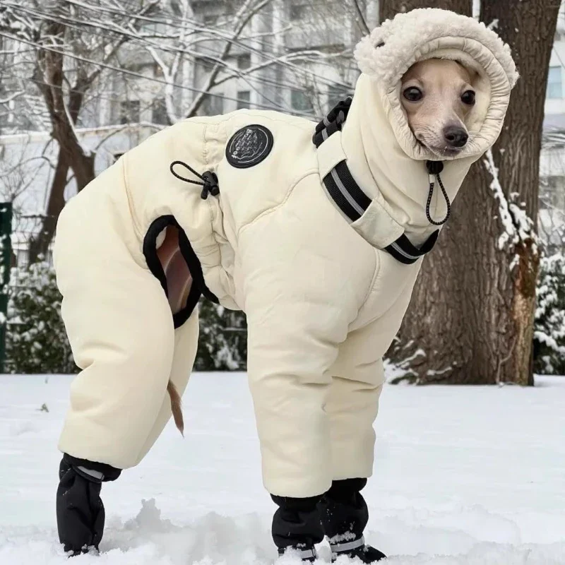Manteau Chien Doudoune Combinaison Capuche Sherpa Lévrier