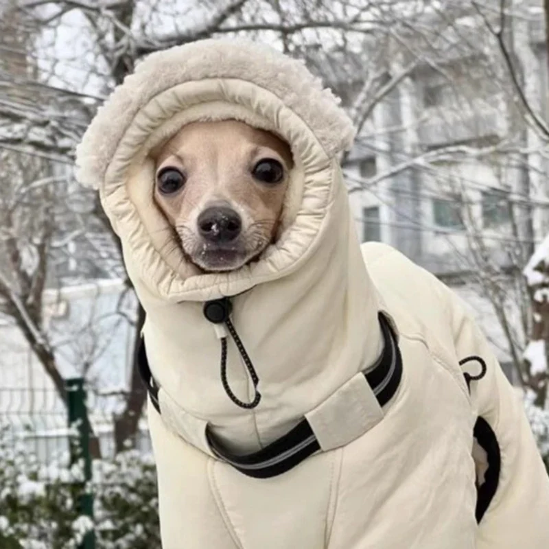 Manteau Chien Doudoune Combinaison Capuche Sherpa Lévrier