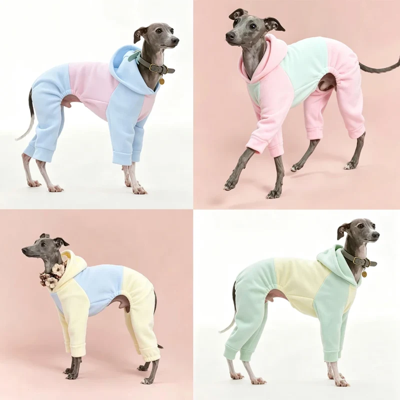 Pyjama Chien Polaire Combinaison 4 Pattes Capuche Lévrier