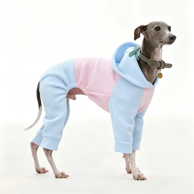 Pyjama Chien Polaire Combinaison 4 Pattes Capuche Lévrier