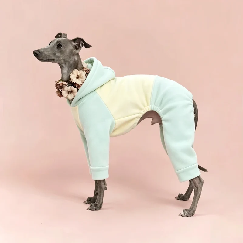 Pyjama Chien Polaire Combinaison 4 Pattes Capuche Lévrier