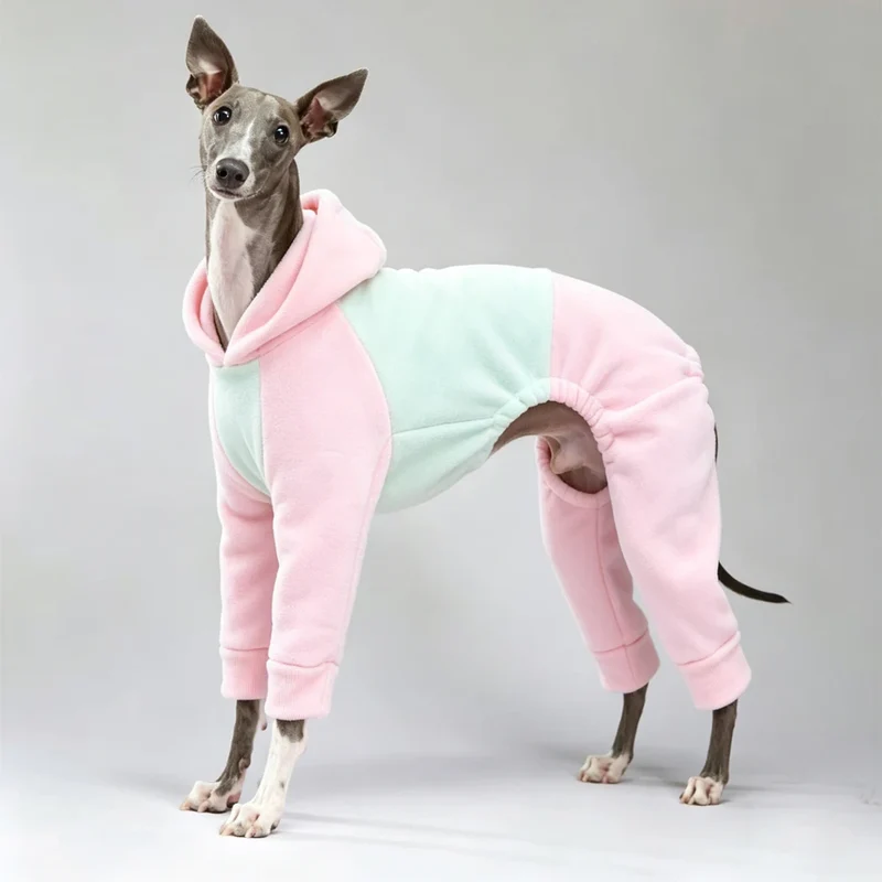 Pyjama Chien Polaire Combinaison 4 Pattes Capuche Lévrier