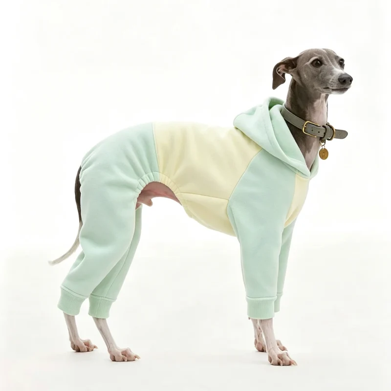 Pyjama Chien Polaire Combinaison 4 Pattes Capuche Lévrier