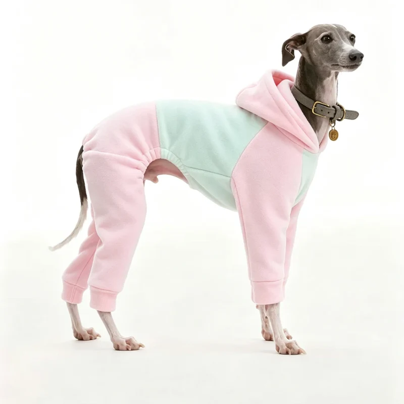Pyjama Chien Polaire Combinaison 4 Pattes Capuche Lévrier