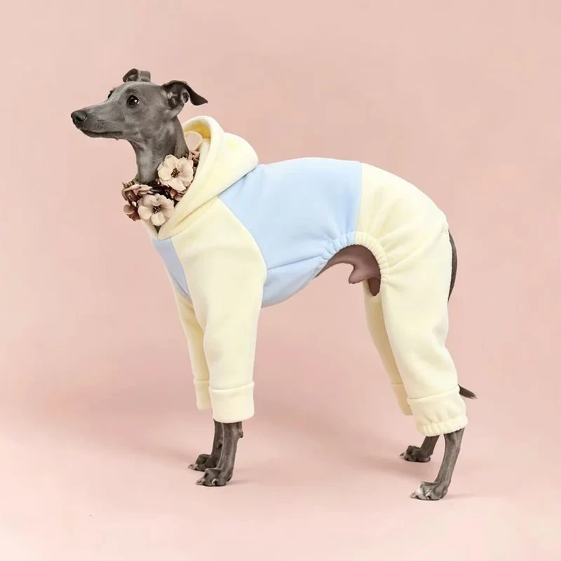 Pyjama Chien Polaire Combinaison 4 Pattes Capuche Lévrier