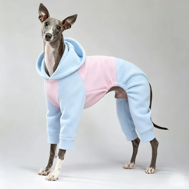 Pyjama Chien Polaire Combinaison 4 Pattes Capuche Lévrier