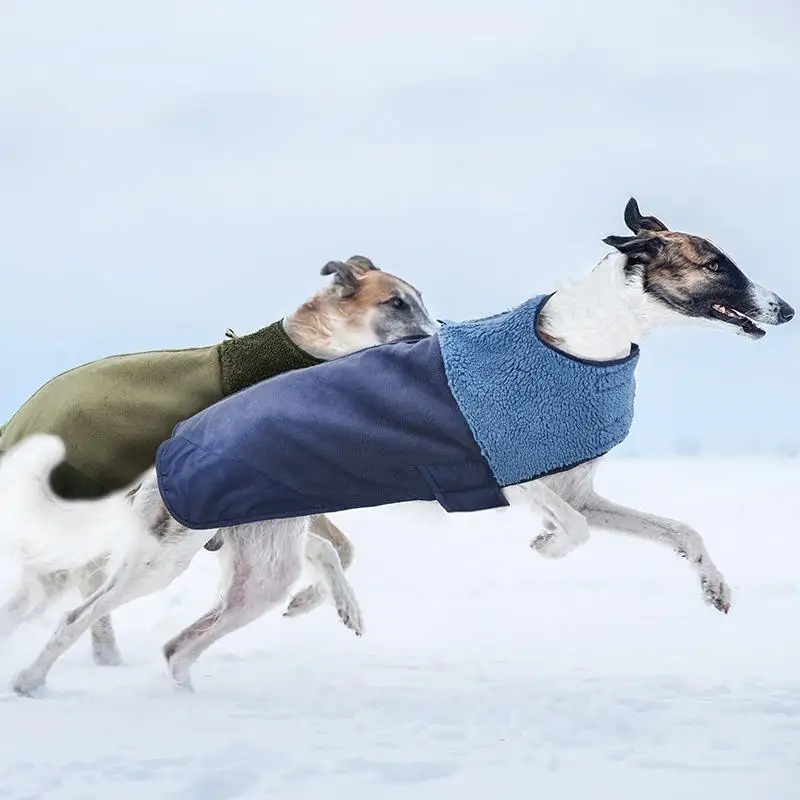Manteau Chien Sherpa Lévrier Whippet Coupe-Vent
