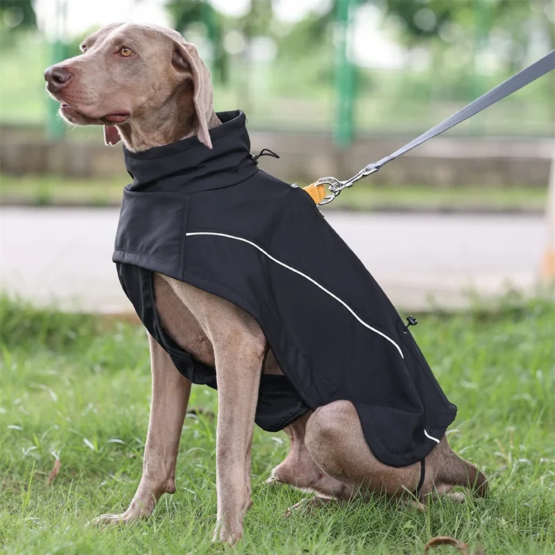 Manteau Chien Imperméable Softshell Polaire Grande Race