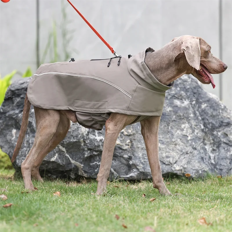 Manteau Chien Imperméable Softshell Polaire Grande Race