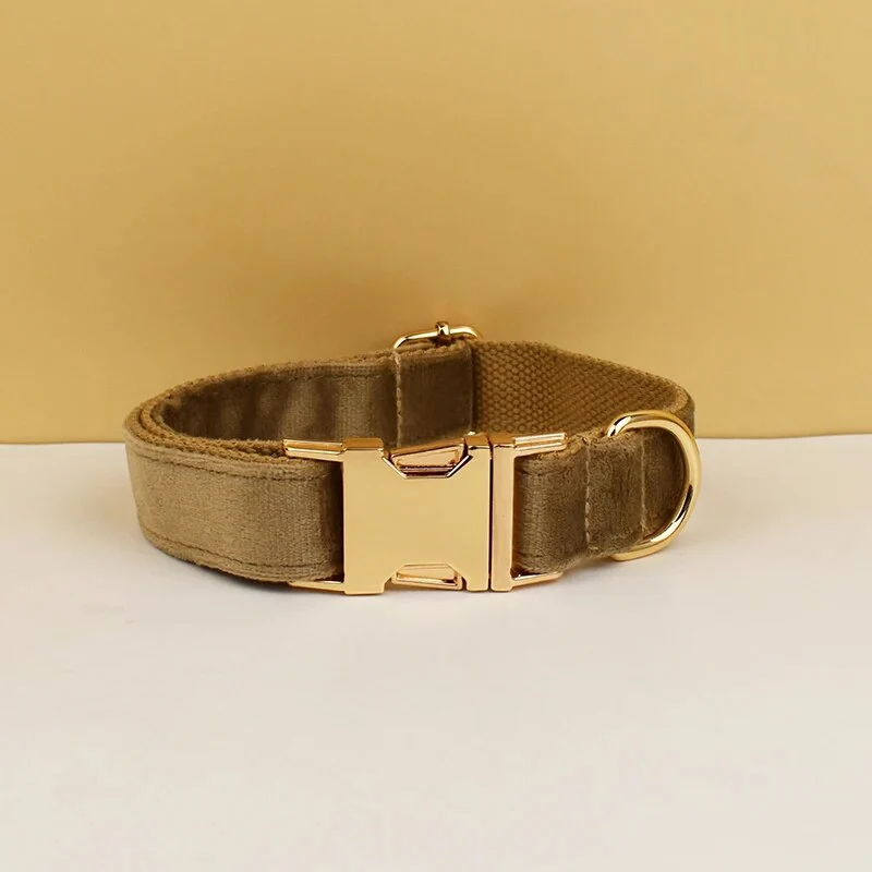 Collier pour chien en velours personnalisable réglable