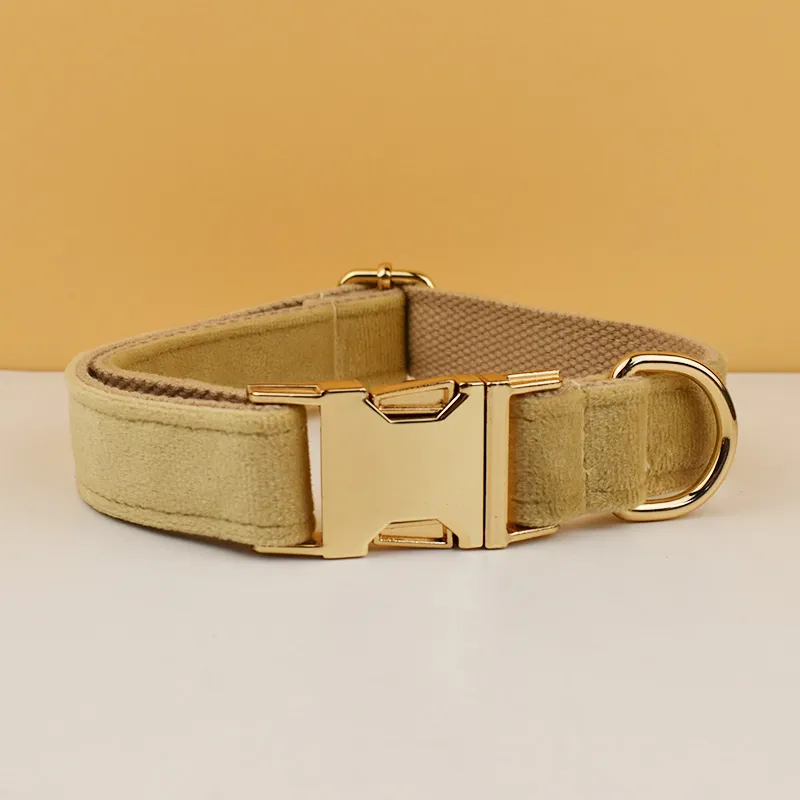 Collier pour chien en velours personnalisable réglable