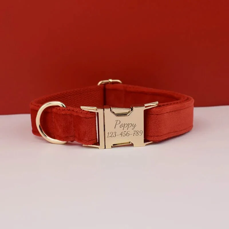 Collier pour chien en velours personnalisable réglable