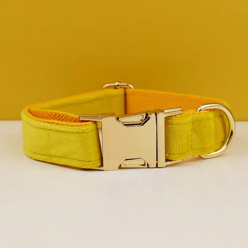 Collier pour chien en velours personnalisable réglable