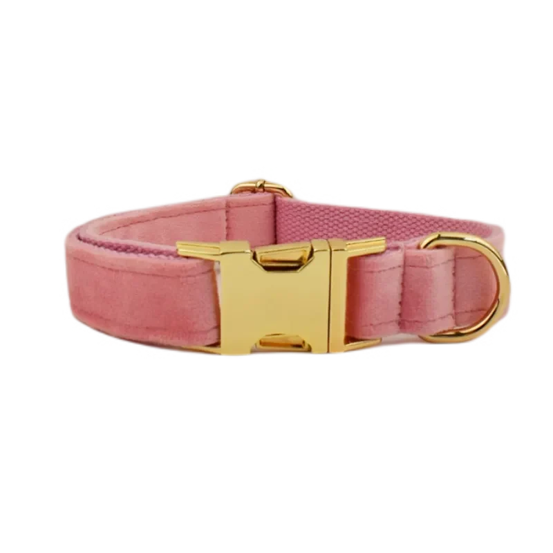 Collier pour chien en velours personnalisé réglable et original