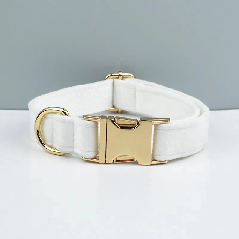 Collier pour chien en velours personnalisé réglable et original