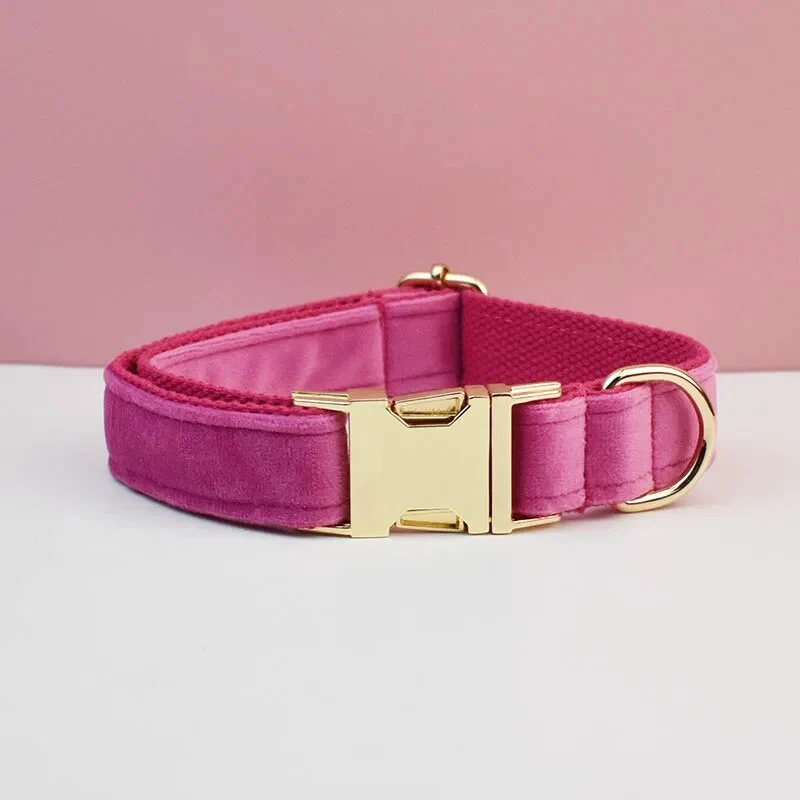 Collier pour chien en velours personnalisé réglable et original