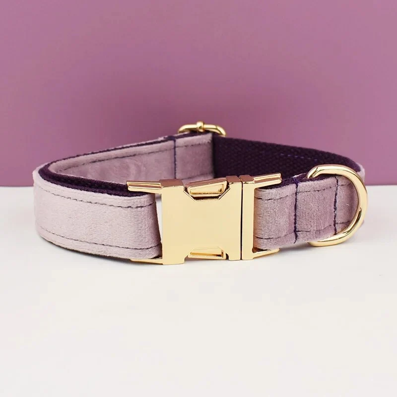 Collier pour chien en velours personnalisé réglable et original