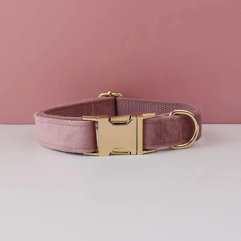 Collier pour chien en velours personnalisé réglable et original