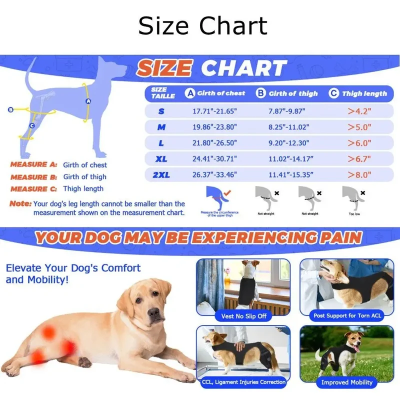 Attelle Genouillère Chien Réglable Bandes Réfléchissantes