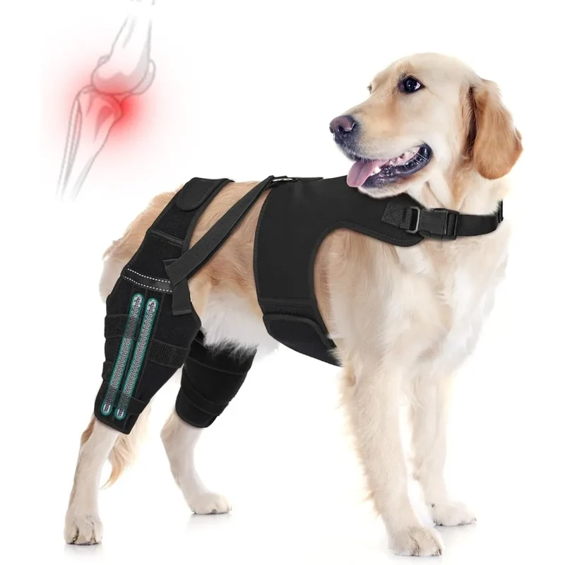 Attelle Chien Double Jambe Anti-Glissement Pattes Arrière