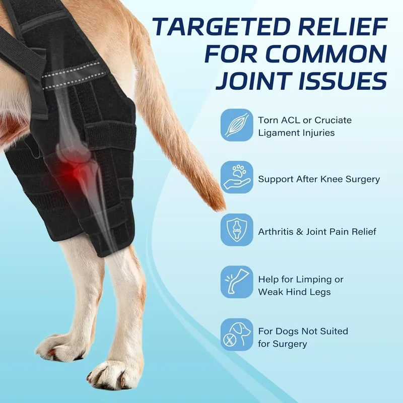 Attelle Chien Double Jambe Anti-Glissement Pattes Arrière