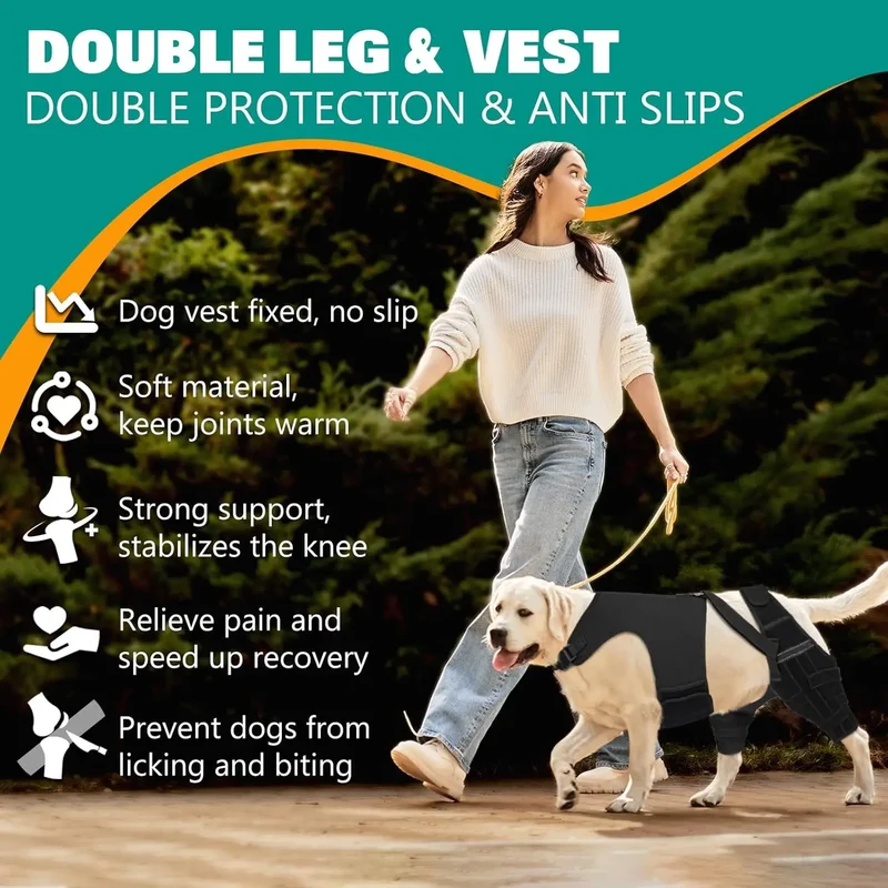 Attelle Chien Double Jambe Anti-Glissement Pattes Arrière