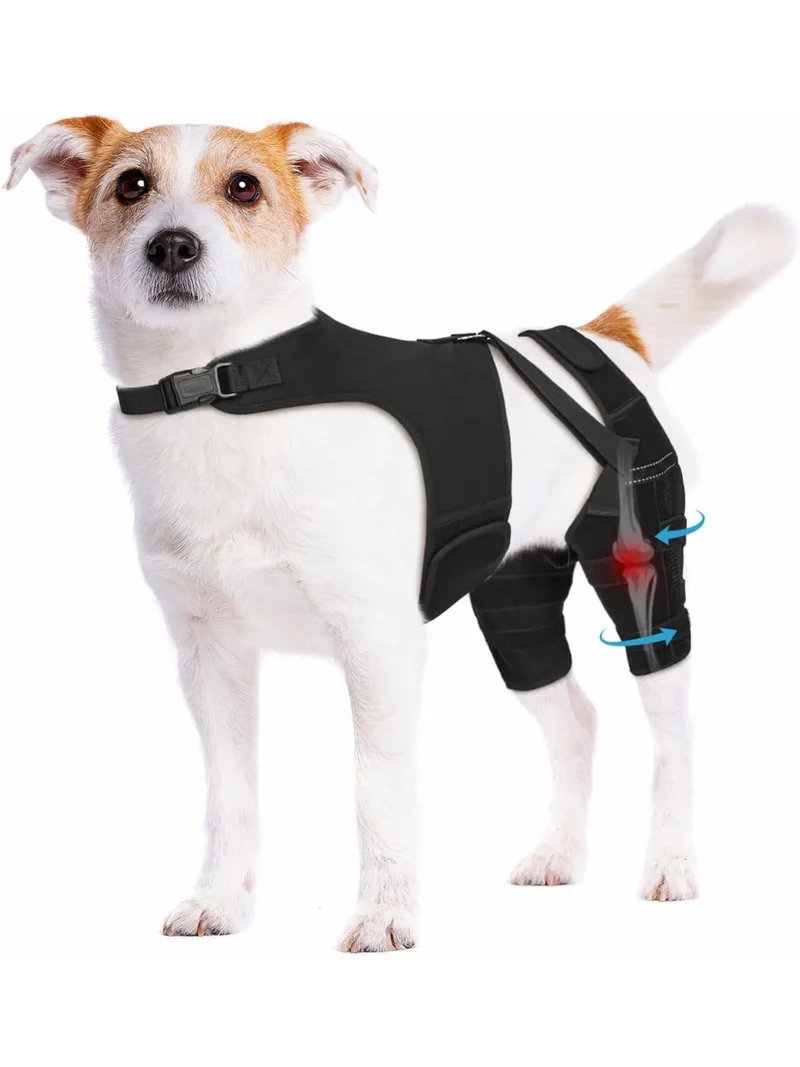 Attelle Chien Double Jambe Anti-Glissement Pattes Arrière