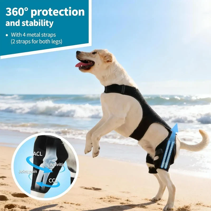 Attelle Chien 4 Stabilisateurs Métalliques Soutien Pattes Arrière