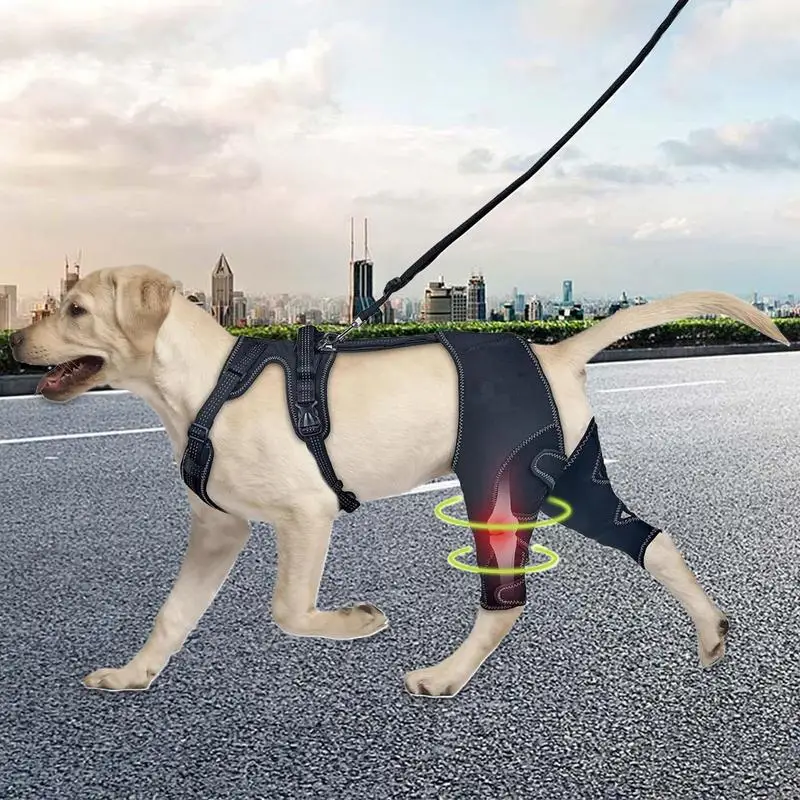 Attelle pour Chien Genouillère Double Pattes Arrière Réglable