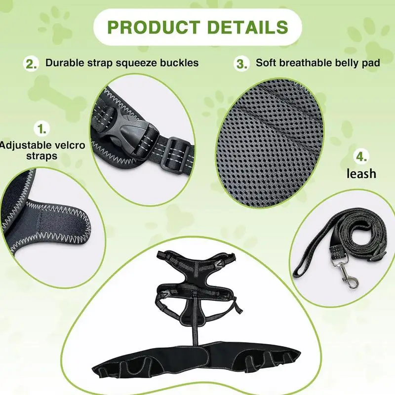 Attelle pour Chien Genouillère Double Pattes Arrière Réglable