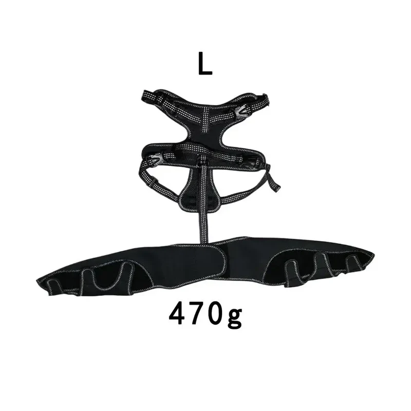 Attelle pour Chien Genouillère Double Pattes Arrière Réglable
