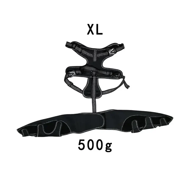 Attelle pour Chien Genouillère Double Pattes Arrière Réglable