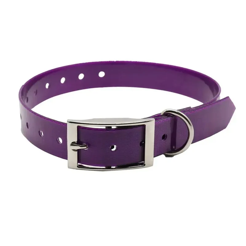 Collier Chasse Étanche Réglable Gros Chien