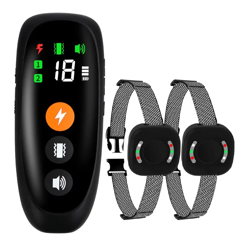 Collier Dressage 800m Rechargeable Molosse
